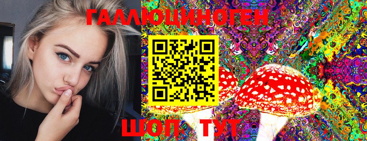 Псилоцибиновые грибы Psilocybine cubensis  Вход с VPN  как найти   Галлюциногенные грибы прущие грибы  Нижний Новгород 